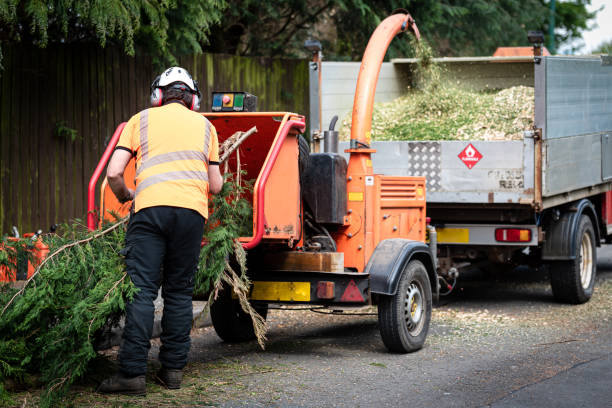 Best Lawn Watering Services  in Desert Palms, CA